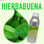 Aroma de Hierbabuena 1Kg - 1