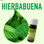 Aroma de Hierbabuena - 1