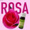 Aroma de Rosa - 1