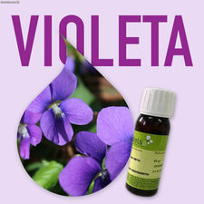 Aroma de Violeta