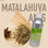Aroma Natural de Anís Matalahuva 1Kg - 1