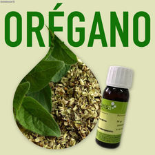 Aroma Natural de Orégano