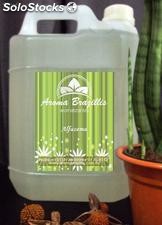 Aromatizante de ambiente alfazema 5 litros