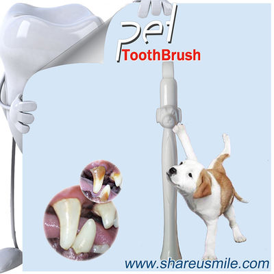 At-home pet teeth cleaning kit shareusmile dental care toothbrushes - Photo 2