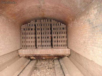 Automática ladrillera con horno de túnel - Foto 2