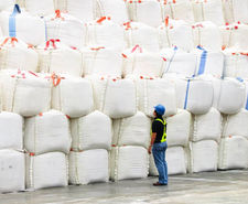 AZUCAR BLANCO.Se vende exportación de azucar remolacha por toneladas