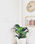 Bac a plante brussels rond wheels ALLIN1 35CM blanc - Photo 2