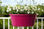 Bac a plante corsica flower bridge 60CM - Photo 3