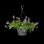 Bac a plante green basics suspension 28CM - Photo 2