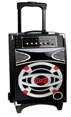 Bafle Potenciado Bateria Recargable Usb karaoke mic rms 40w x8t