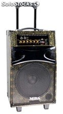 Bafle Potenciado Bateria Recargable Usb karaoke mic rms 50w x10t