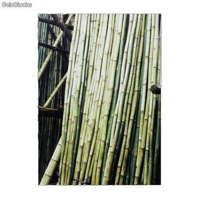 Bambou naturel L=4m Dia.6/8cm