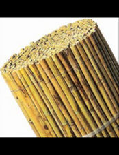Bambú entero - nacional seleccione la medida varias medidas 0.8x5m