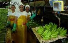 Bananas frescas - Foto 3