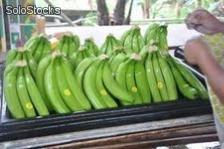 Bananas frescas - Foto 4