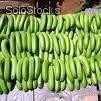 Foto prodotto Banane, banane Cavendish, banane fresche, Olanda patate,