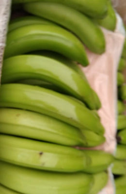 Banane cavendish extra premium équateur 20CM