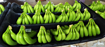 Banano - Foto 3