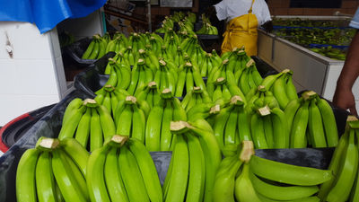 Banano - Foto 4