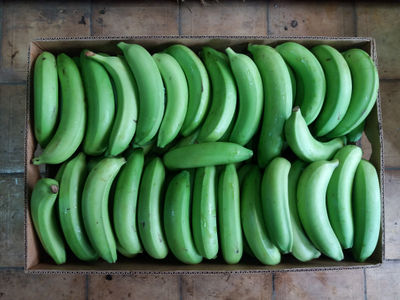 Banano Cavendish Valery - Foto 5