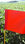 Bandeirinha sinalizador para área agrícola - 4