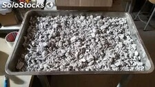 Bandeja secado muestras cemento