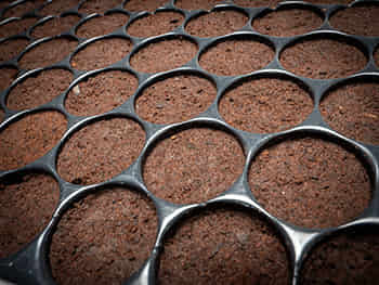 Bandeja semillero 150 (8 bandejas) - Foto 2