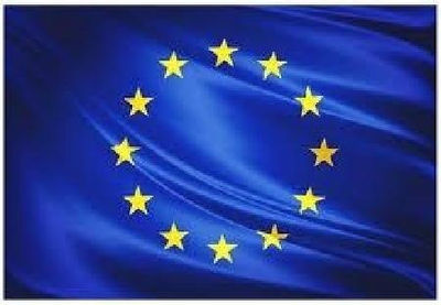 Bandera europea 100 cms.