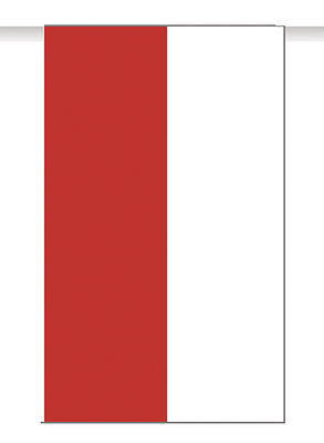 Bandera plastico cantabria, 50 mts