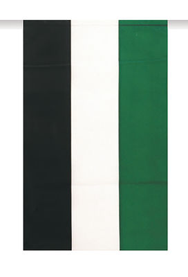 Bandera plastico extremadura, 50 mts