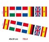 Bandera tela 10MT internacional 46X30 cm