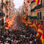 Banderas de España (al por mayor) económicas - Foto 2