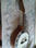 Banjo de 8 cordas + elétrico Afinação em cavaco/banjo ou Bandolin + 4 apostilas - 2