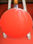 Banjo Marques 1202 vermelho - lançamento - frete grátis p/ brasil - 4