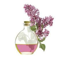 Bases aromaticas variedad violeta, vainilla - Foto 2
