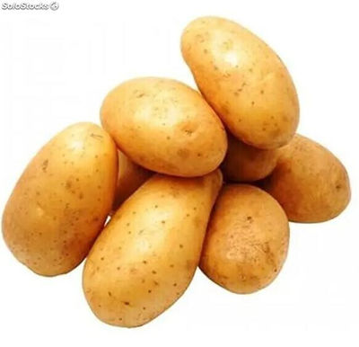 Batata / Patatas frescas / Patatas irlandesas frescas - Foto 2