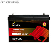 Batería de litio Olalitio 100ah