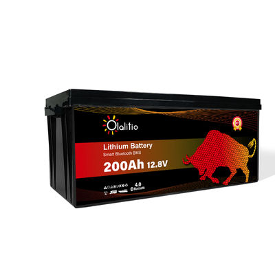 Batería de litio Olalitio 200ah - Foto 2