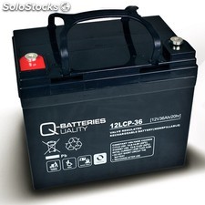 Batería quality agm sellada 12 v 36AH 12LCP-36