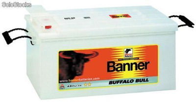Batterien Buffalo Bull