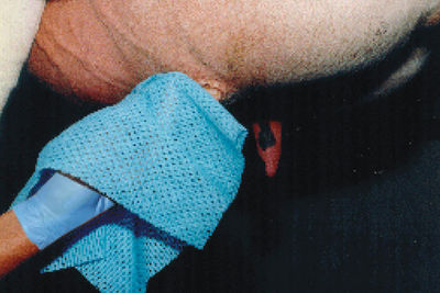 Bayeta de desinfección para pezones ante y posterior al ordeño