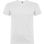 Beagle t-shirt s/ 1/2 white ROCA65543901 - 1