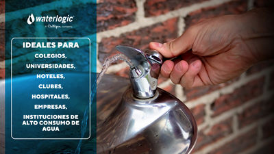 bebederos de agua en acero inoxidable para agua Ambiente - Foto 2