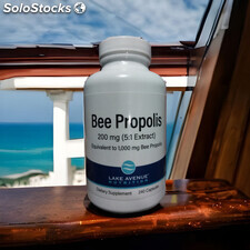 Bee Propolis, Equivalent to 1,000 mg, 240 Capsules