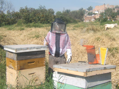 Beekeeping Cloth(Jacket) with Hood / Chamarra con verlo para Apicultor