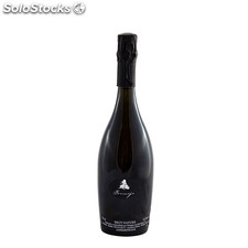 Bermejo Malvasía Brut Nature Rosso 2013 75cl.