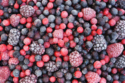 Berries convencional y orgánico congelados iqf - Foto 3