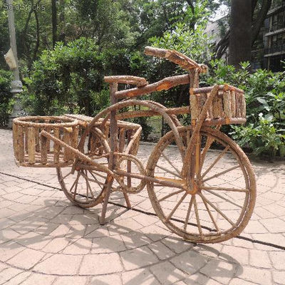 Bicicleta de raiz