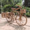 Bicicleta de raiz - 1