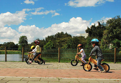 Bimai! bicicletas de madera rines en metalico para niños de 2-6 Años - Foto 2